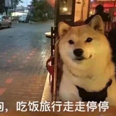 秋木苏丶
