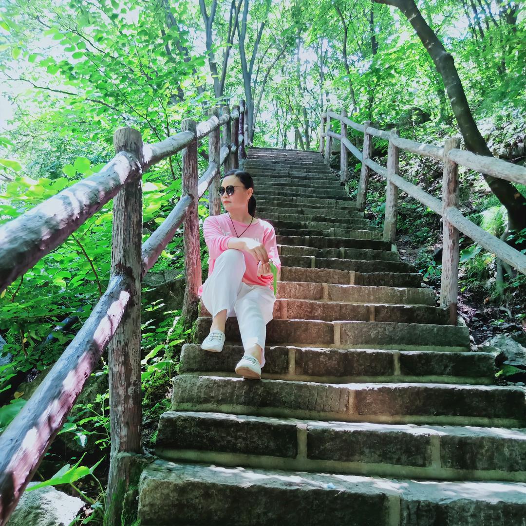 静依果