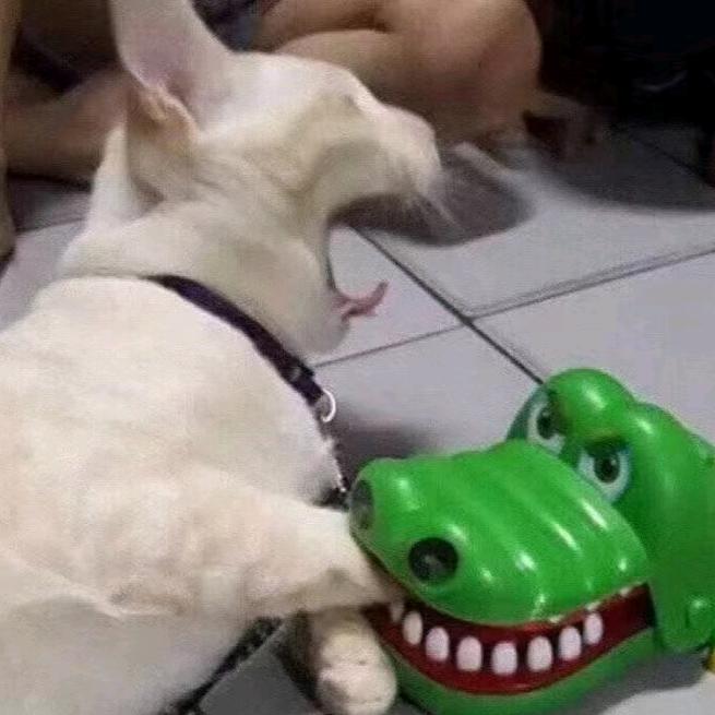 不要葱花，谢谢