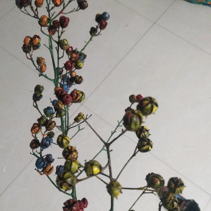 🌈生活处处皆美好