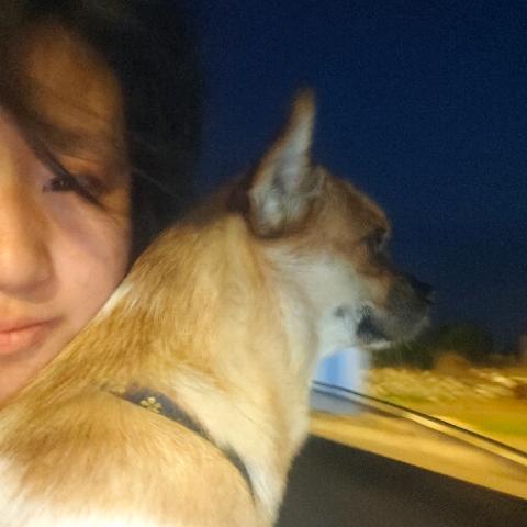 郭锅蝈（闭关版