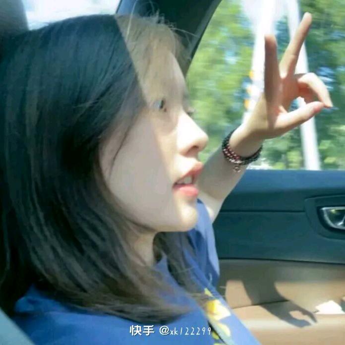 向腊菊