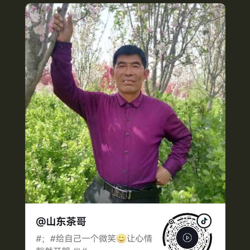 山东茶哥