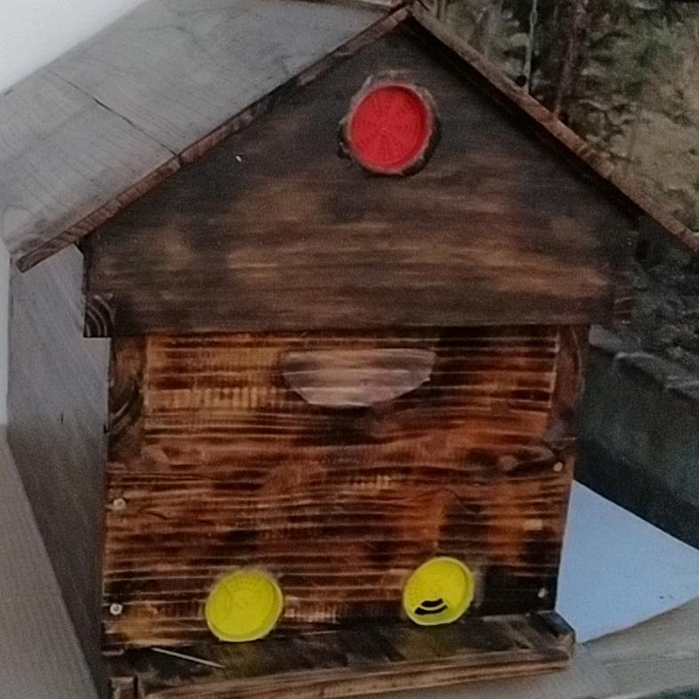 养蜂人