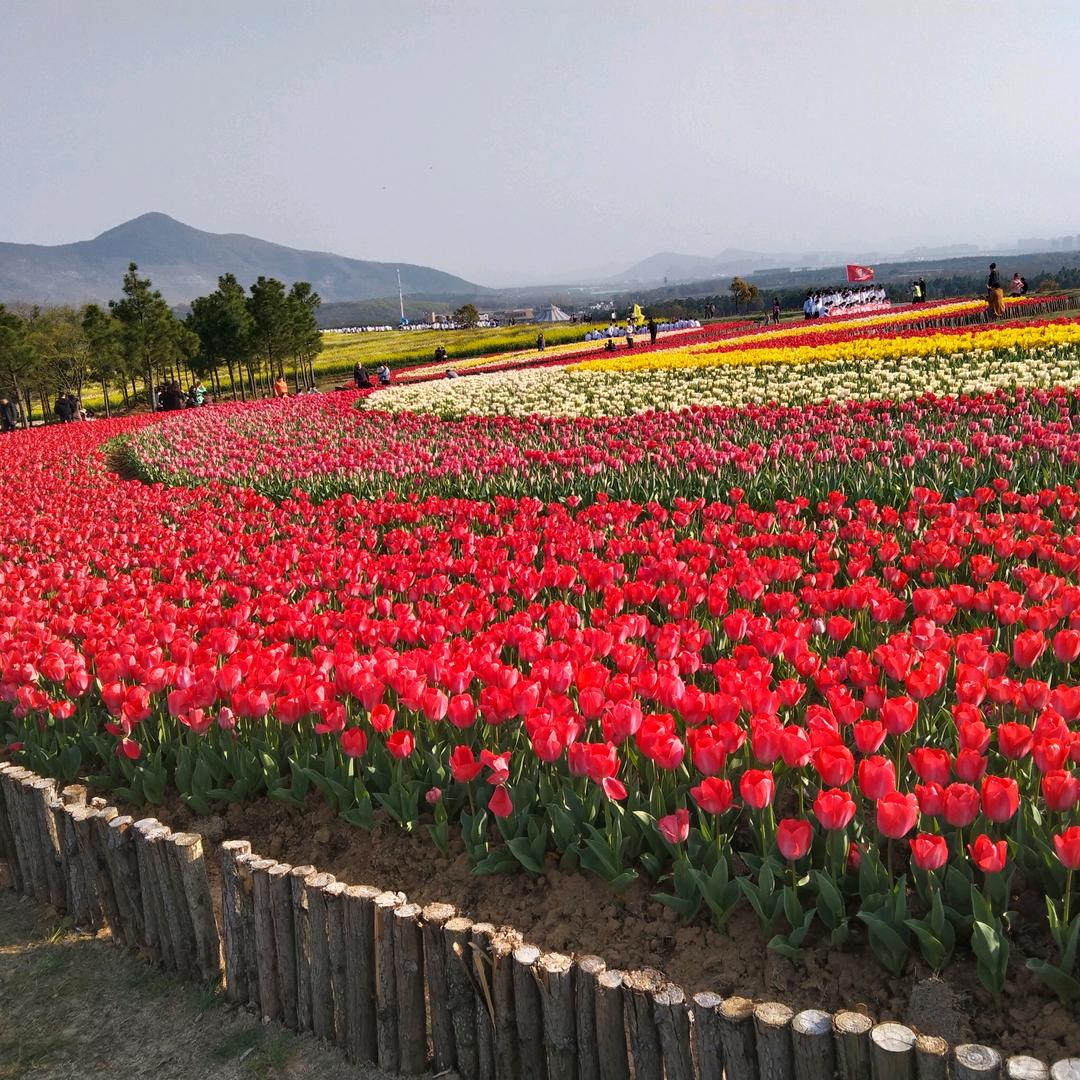 缘份