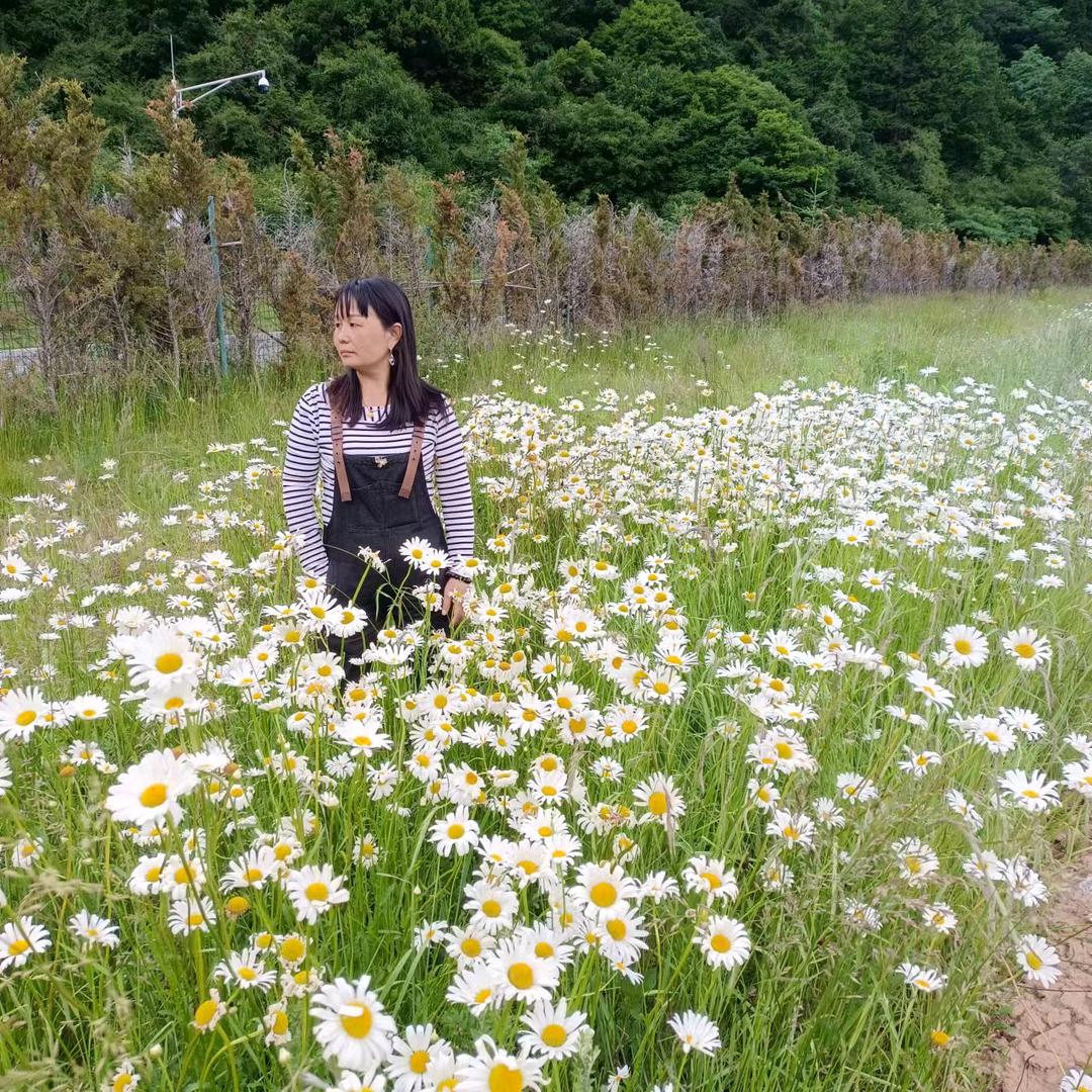 掌间妙手