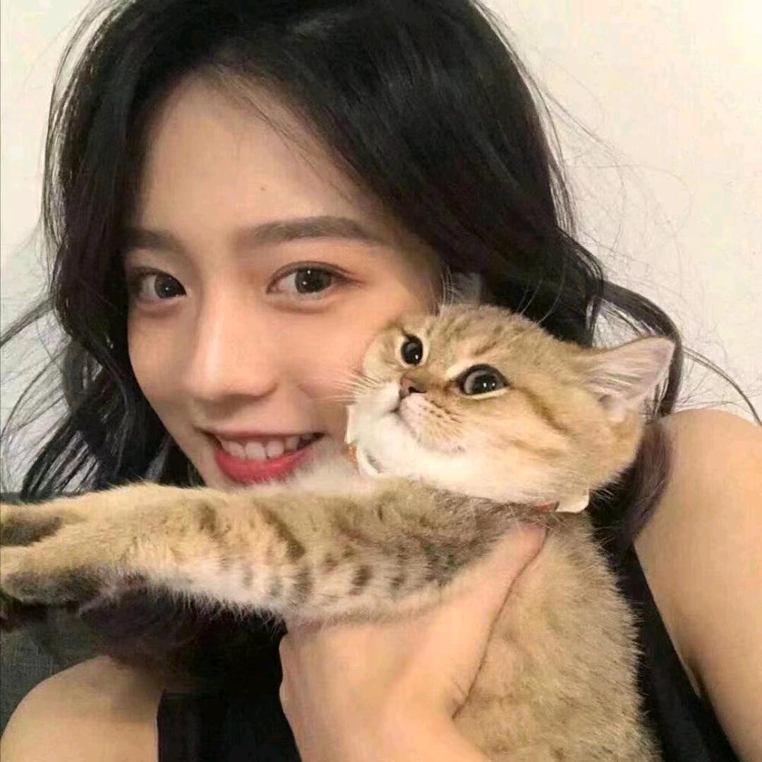 小馋猫爱分享