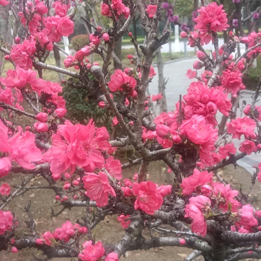 汪（顺其自然）