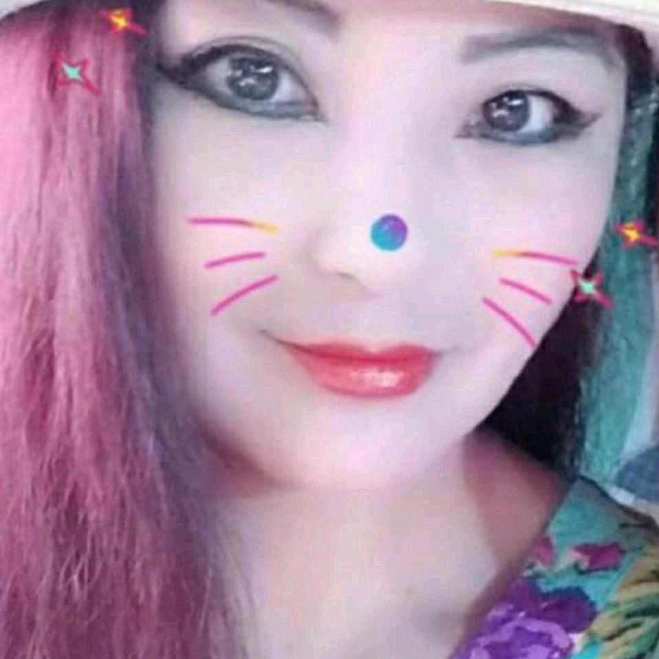 单只蝴蝶