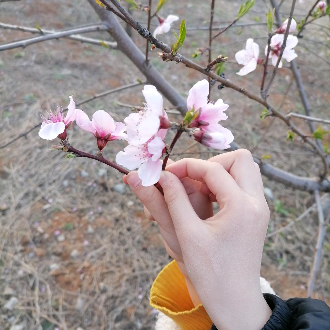 东平大勇哥