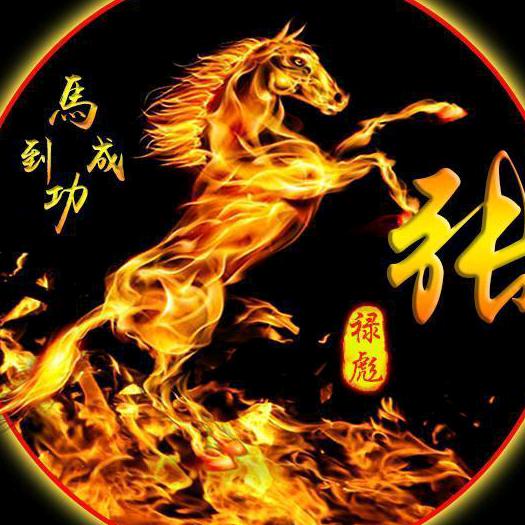 鑫起点说说车