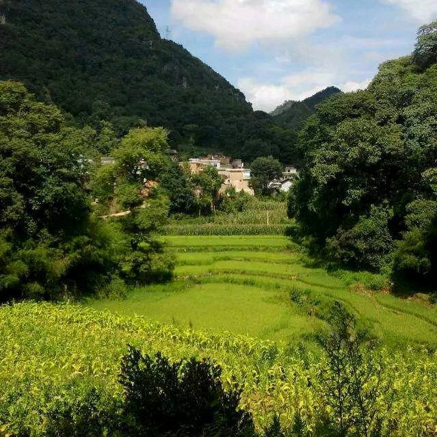 隔壁小李