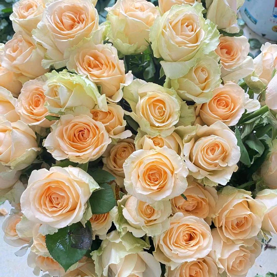 卖花的小姐姐