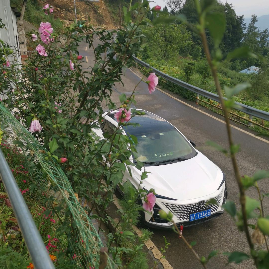 🌈🌈重庆万州UNI-T车友176🌈