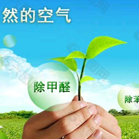 金恩叶子环保