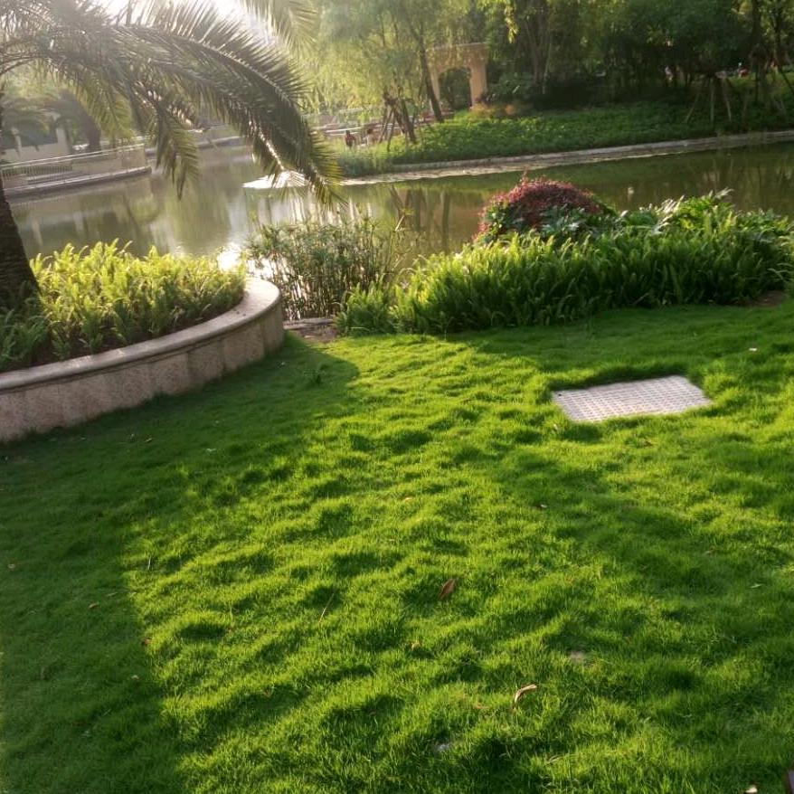 风雨人生，坦然面对！