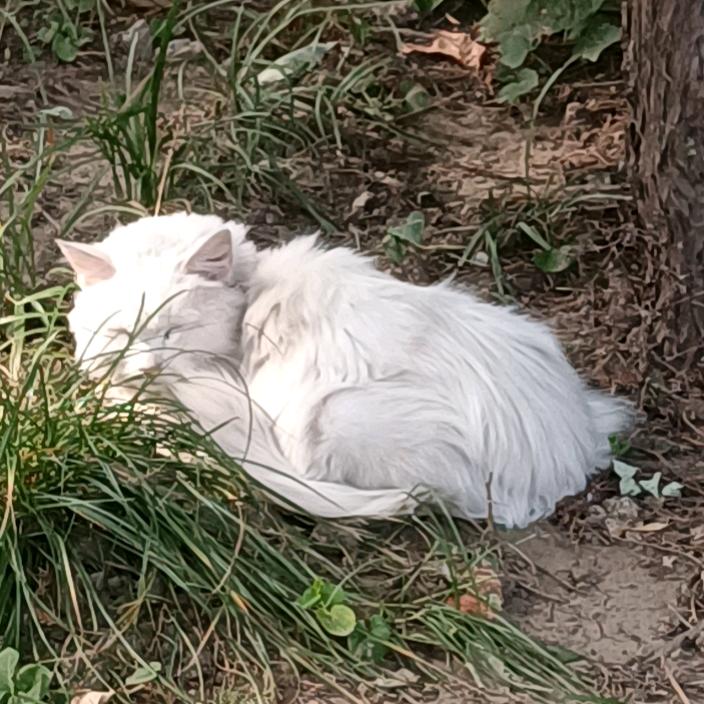 快乐生活每一天