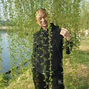 自由自在