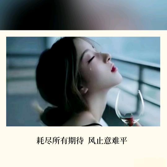 🦋꧔ꦿ᭄💞顺理陈张🕊꧔ꦿ᭄💞