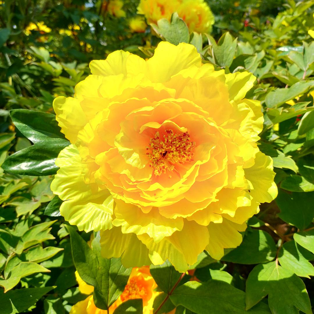 没什么大不了！！