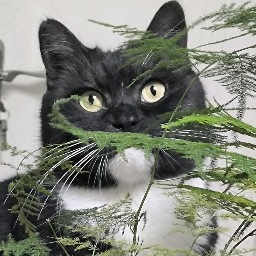 漫步