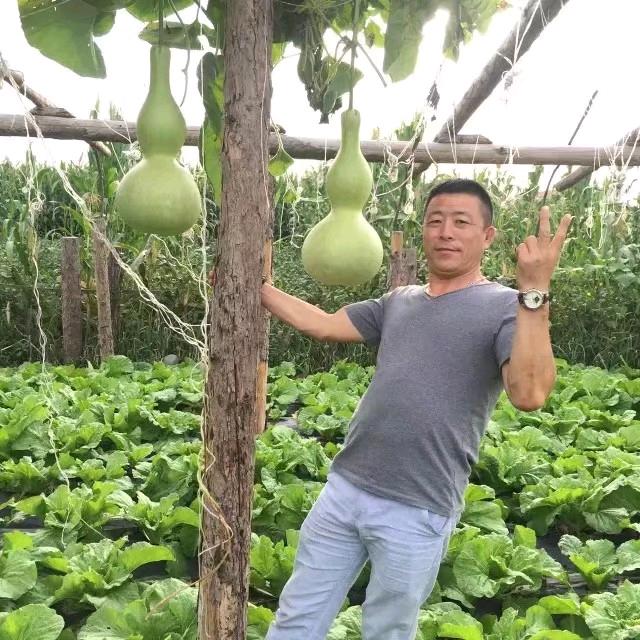 新能源富歌🎤🎧🎸
