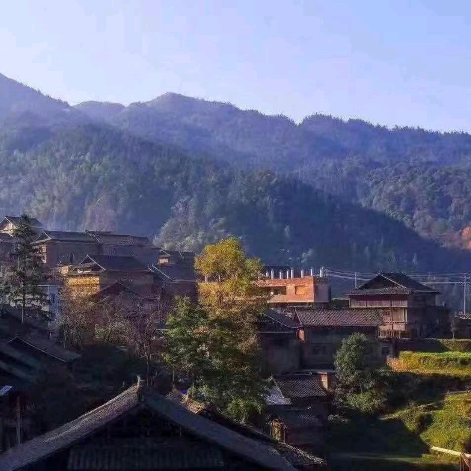 段志强