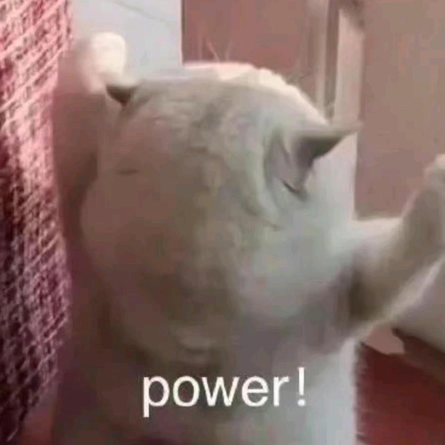 现在猫狗双全