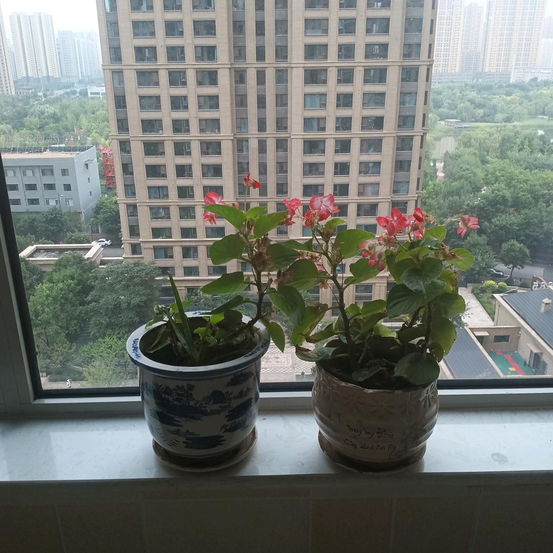 李计爱