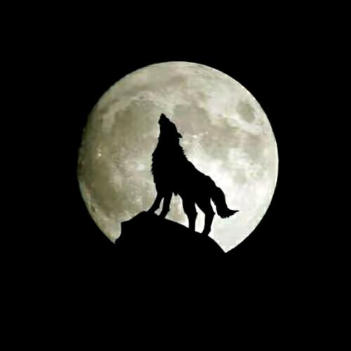 ღ᭄ꫛ何᭄💞᭄ʚïɞ🔥🔥