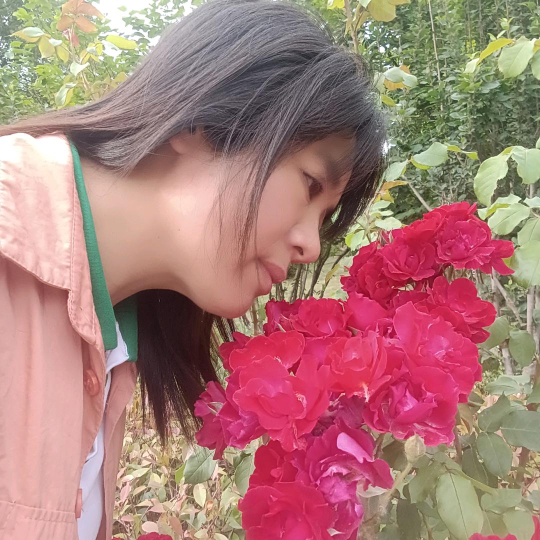 春夏秋冬
