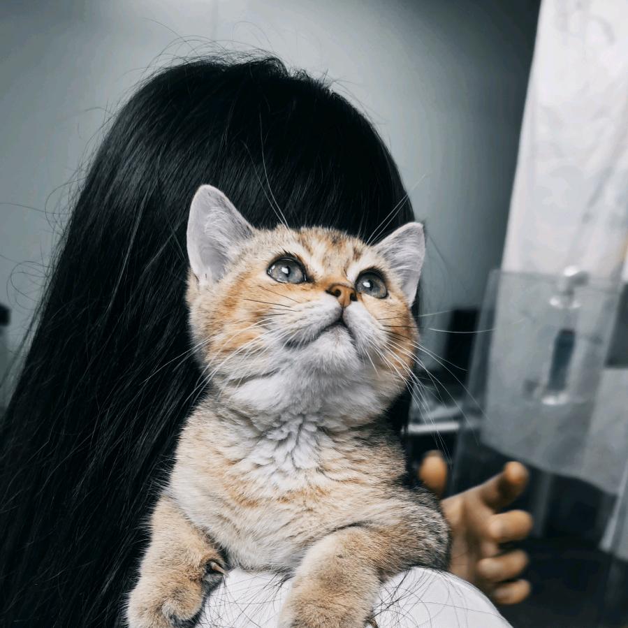 糊涂涂(没服过)