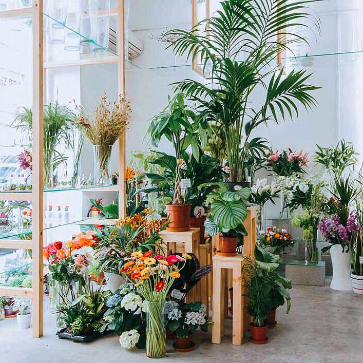 曼语花卉绿植店