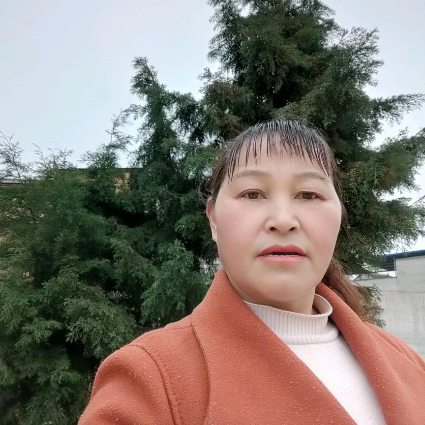 潇潇洒洒（李定会）
