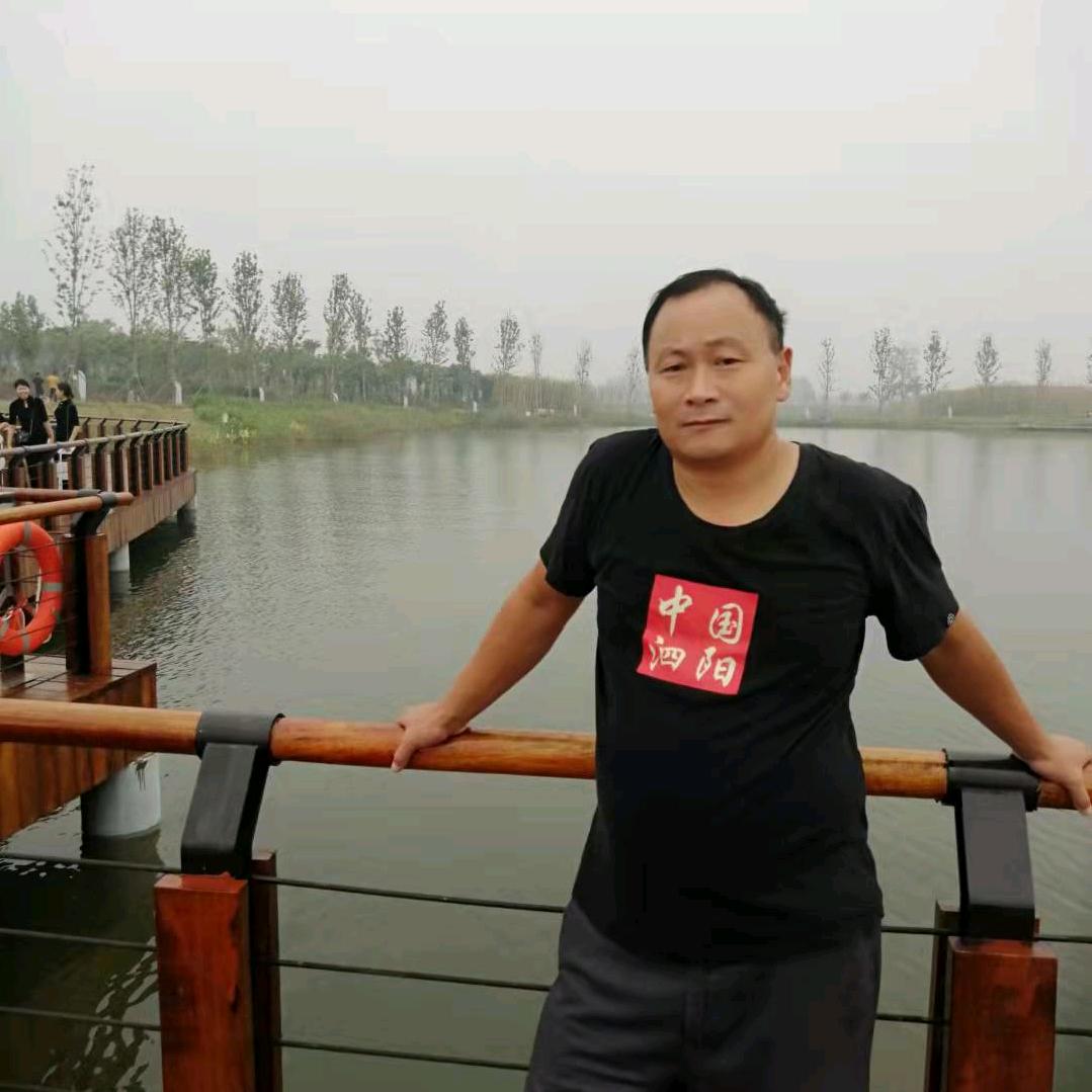 王导自媒体
