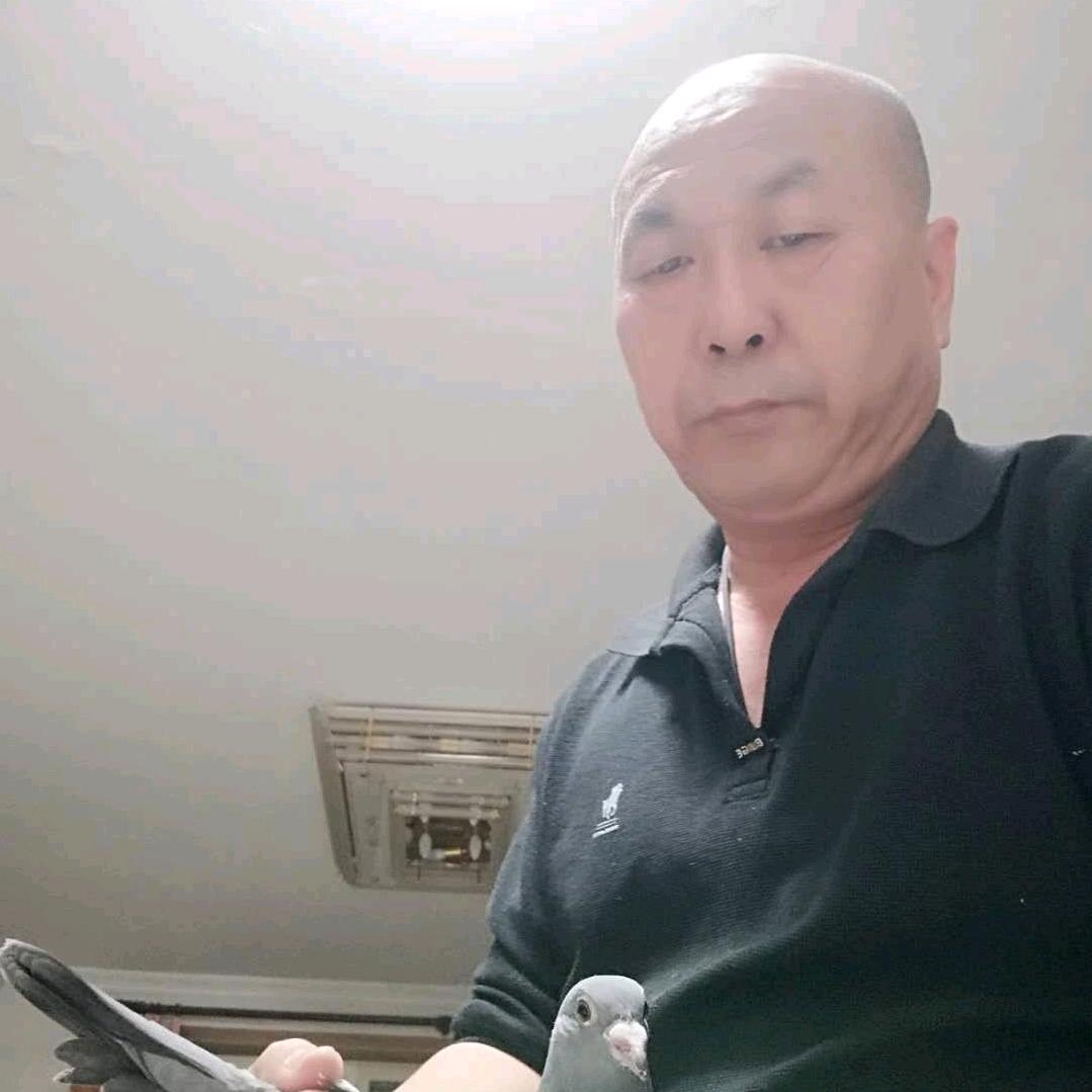 鹏顺翔羽_