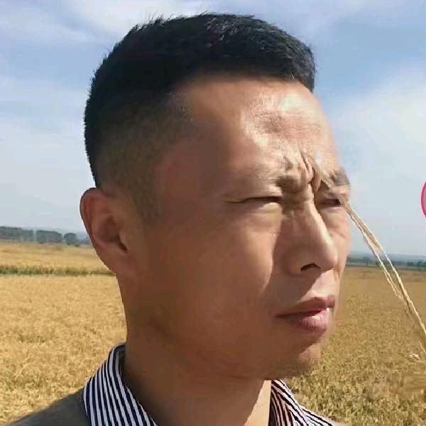 文涛土货