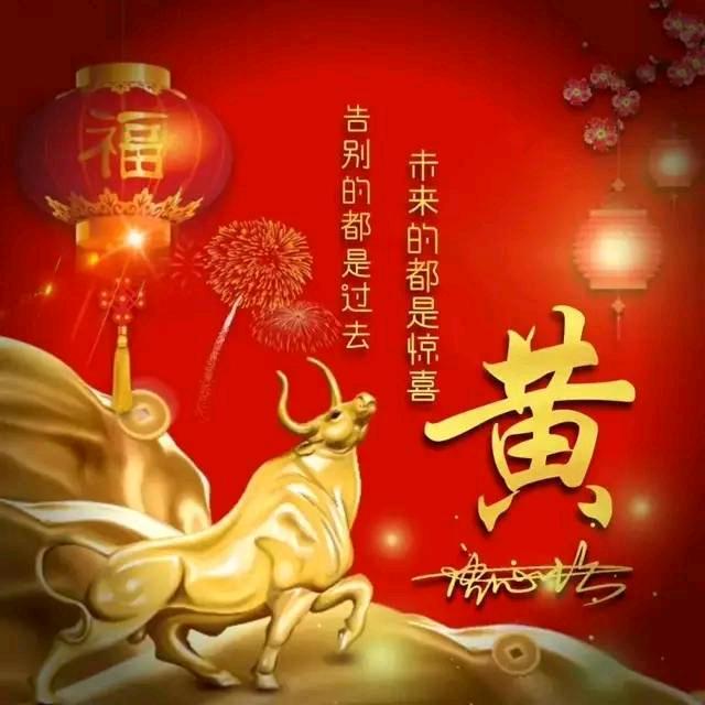 马主任。。。。