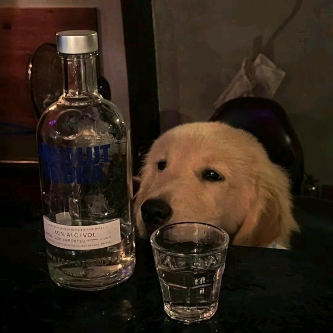 乂