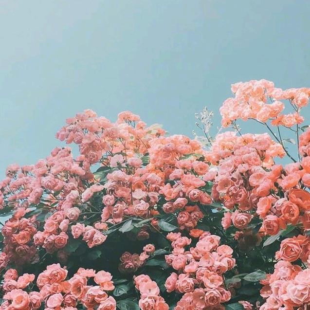 玲玲珑珑