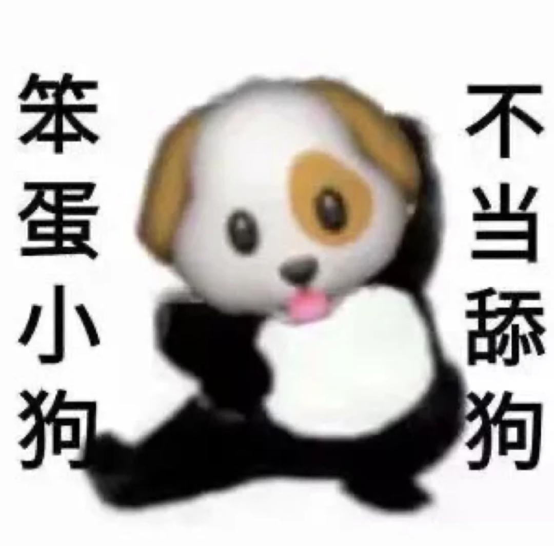 不要逗我资女士。