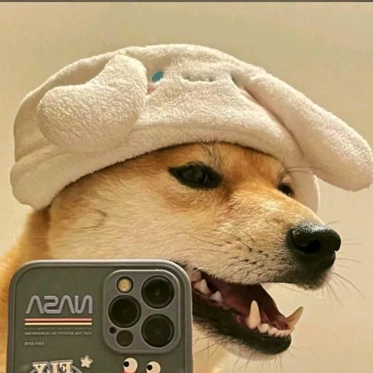 张张张张张
