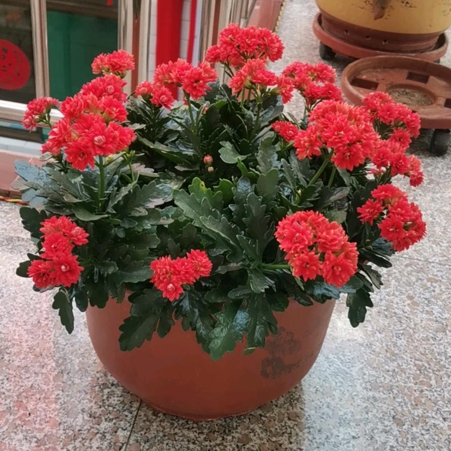 潇洒