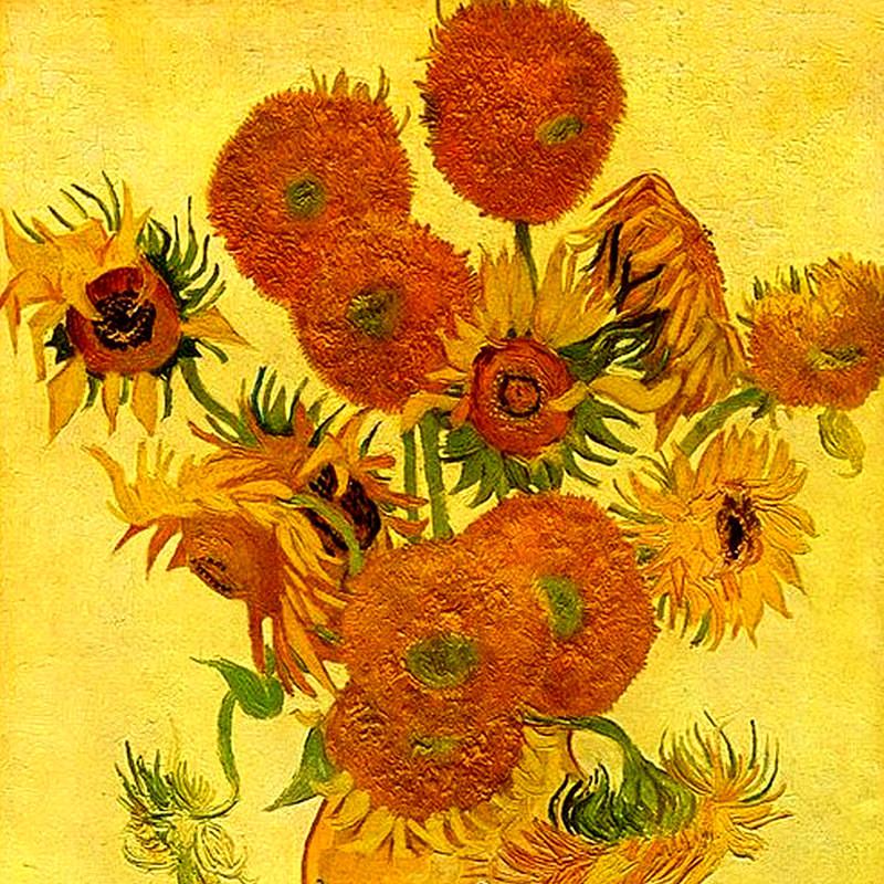 👅爱音斯坦🌻