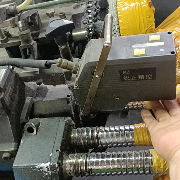 羊姐