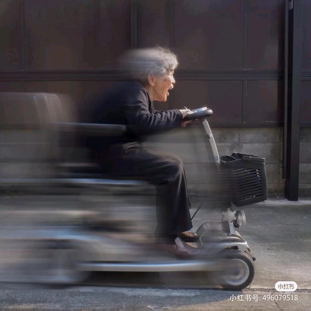 汪汪队立功了