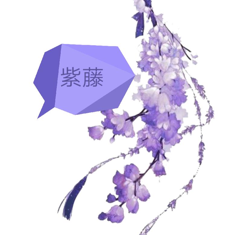 紫藤