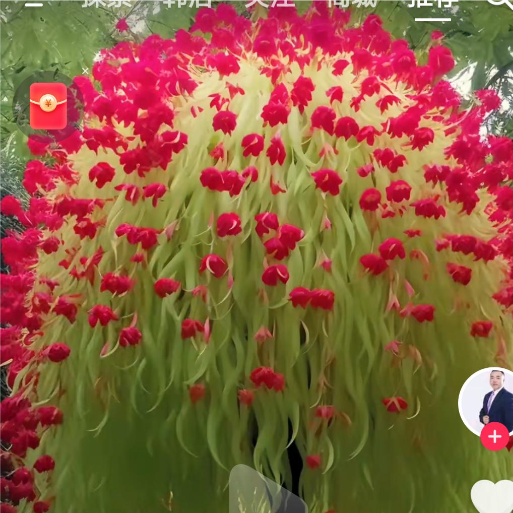 似水年华