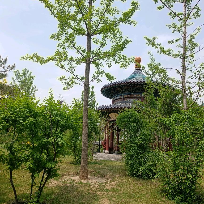 夏虫不可语冰