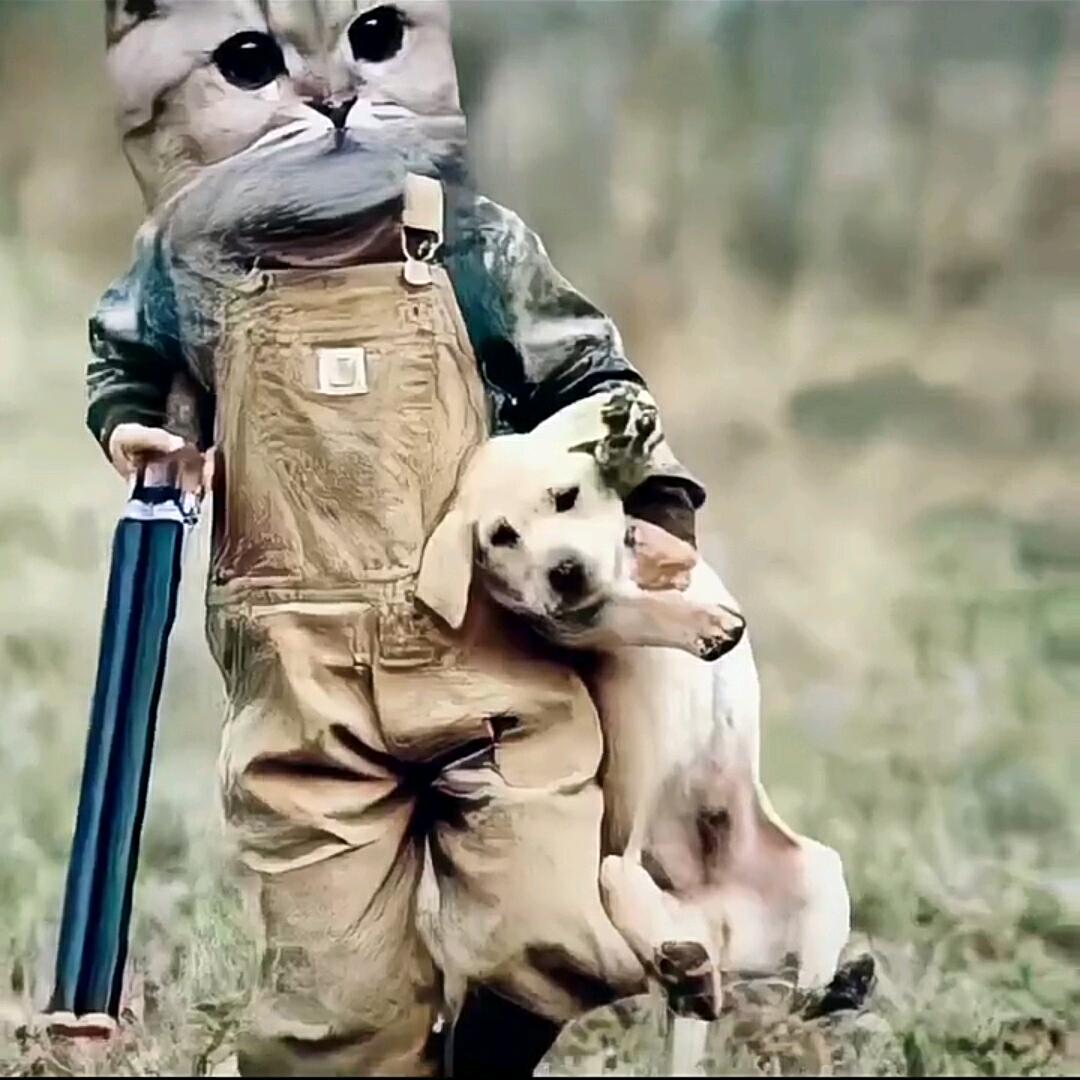 ꧁꫞꯭灰太狼꫞꧂